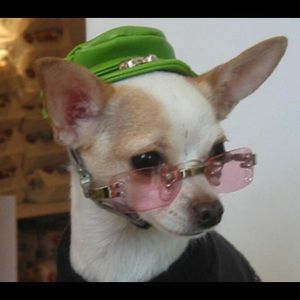 Meet your Posher, Samantha