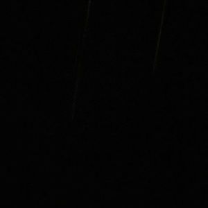 Meet your Posher, Ivy