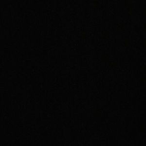 Meet your Posher, Lauran