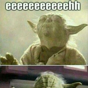 Meet your Posher, Tammie