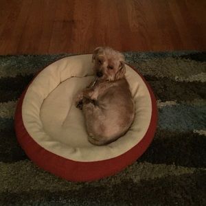 Meet your Posher, Teresa