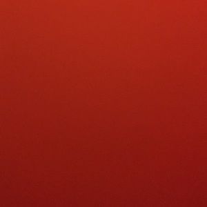 Meet your Posher, Janelle