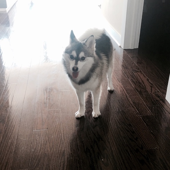 💕WELCOME💕 - Picture 3 of 4