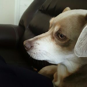 Meet your Posher, Cassie