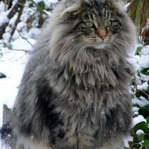 Meet your Posher, Stacyann