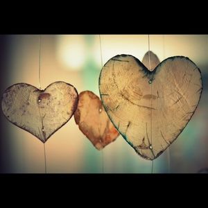 Meet your Posher Lady