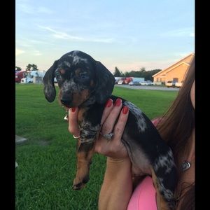 Meet your Posher, Kyla