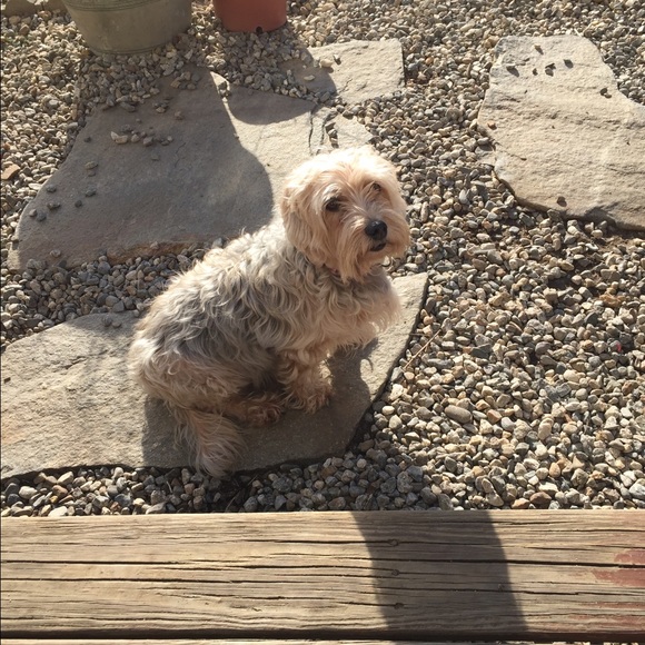 Meet your Posher Ashley! - Picture 3 of 4