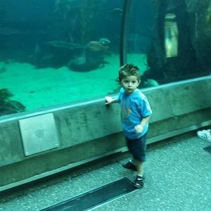 Meet your Posher, Debbie