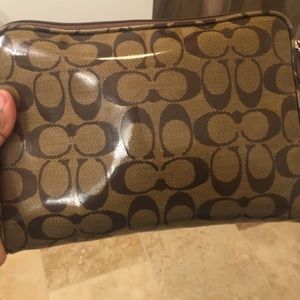 Large cosmetic case