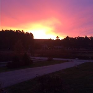 Meet your Posher, Avalynne