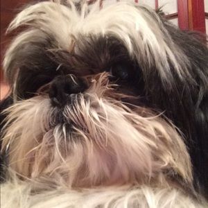 Meet your Posher, Monica