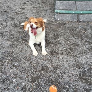 Meet your Posher, Morgan