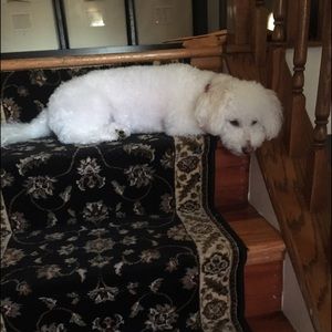 Meet your Posher, Karina