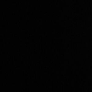 Meet your Posher, Tisha