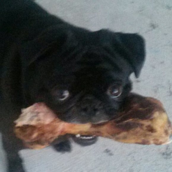 Meet your Posher, Kristel