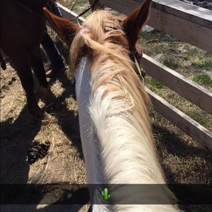 Meet your Posher, Caroline