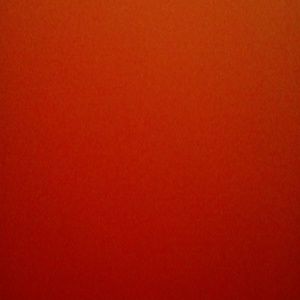 Meet your Posher, Raymond