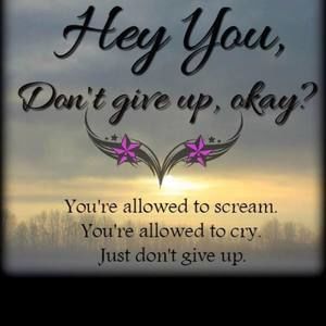 Meet your Posher, Frankie