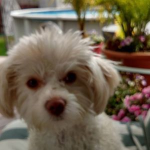 Meet your Posher, Laura