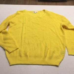 Tobi Yellow Sweater. Never Worn.