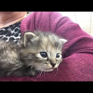 Meet your Posher, Mary