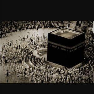 Meet your Posher, Rida