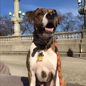 Meet your Posher, Deanne