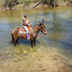 Meet your Posher, Joyce