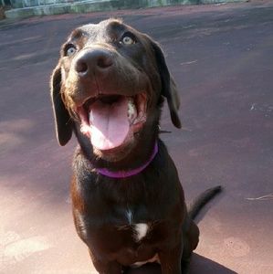 Meet your Posher, Angeleen