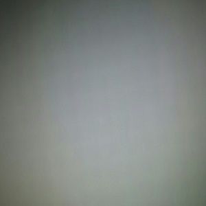 Meet your Posher, Mitzi