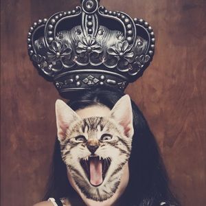 Meet your Posher, Brandy