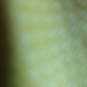 Meet your Posher, Ethan