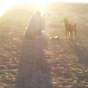 Meet your Posher, Alexa