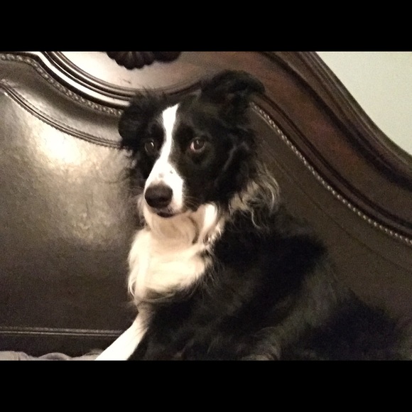 Meet your Posher, Ashley - Picture 1 of 1