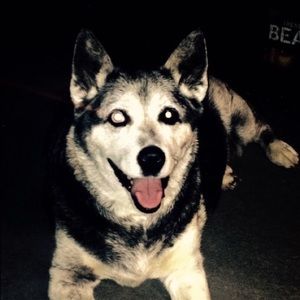 Meet your Posher, Maria