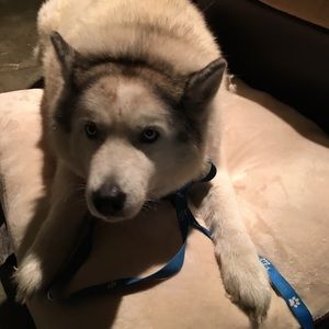 Meet your Posher, Maria