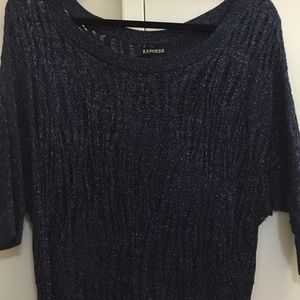 Navy and silver express sweater.