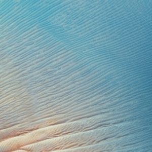 Meet your Posher, Lucy