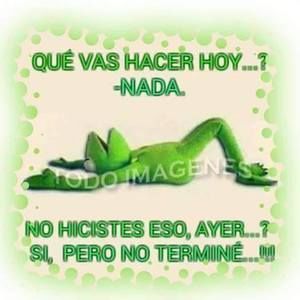 Meet your Posher, Maria luisa