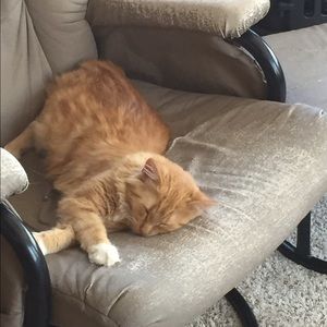 Meet your Posher, Becky