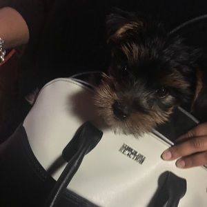 Meet your Posher, Breanna