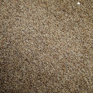 Meet your Posher, Elisa