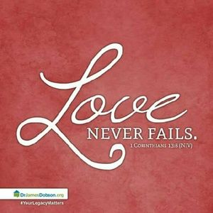 Meet your Posher, Lynne