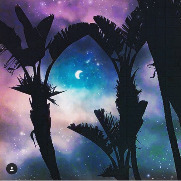 🌙🌻MEET ME 🖤⚡️ - Picture 2 of 7