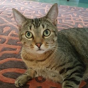 Meet your Posher, Marilyn