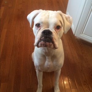 Meet your Posher, Keely