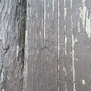 Meet your Posher, Yana