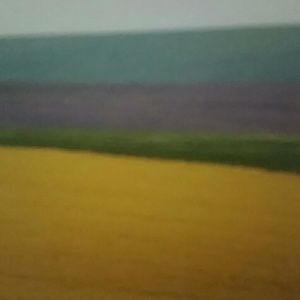 Meet your Posher, Sung