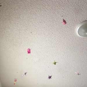 Meet your Posher, Crystal